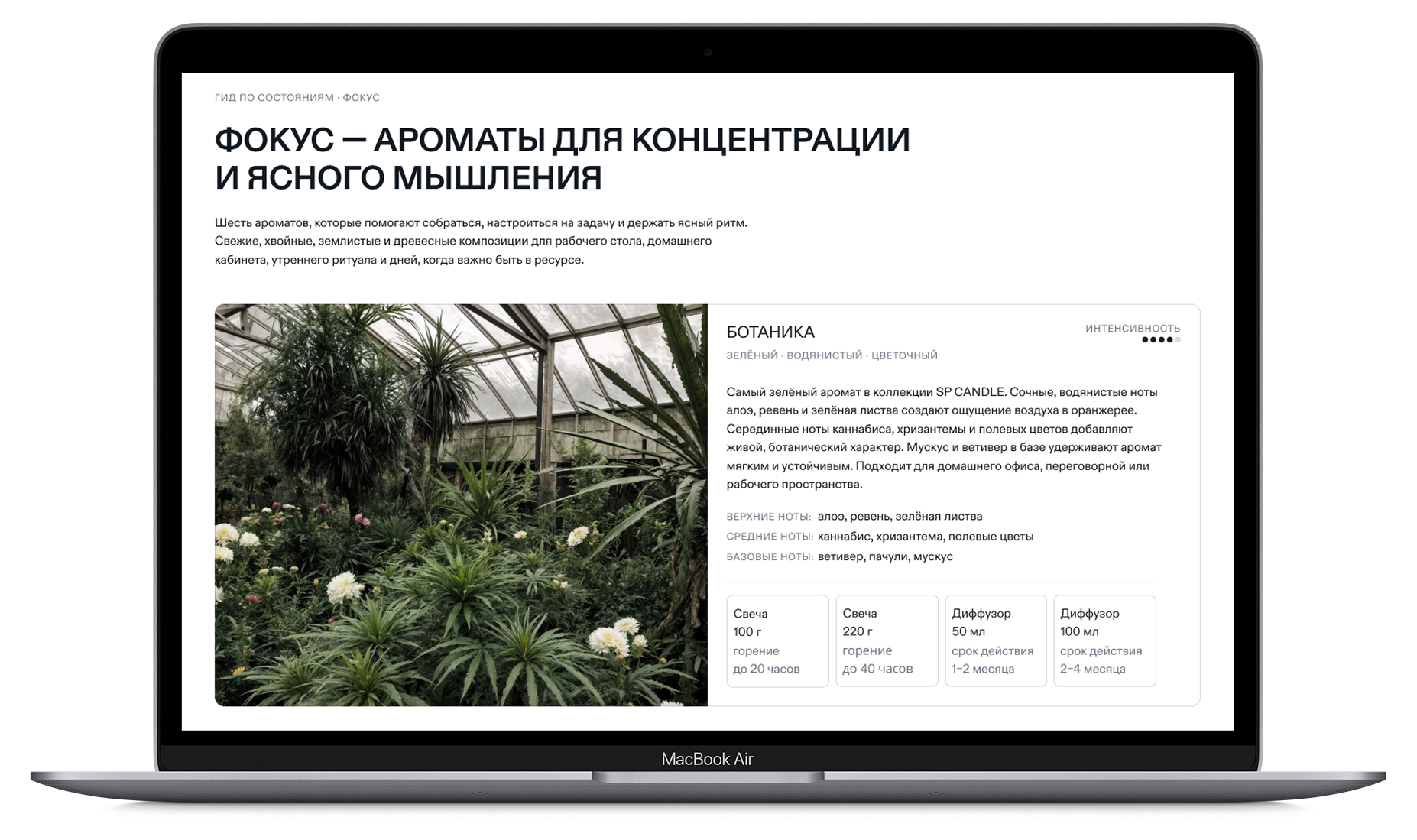 Страница гида по ароматам SP Candle